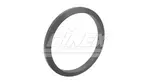 Exhaust Gasket, 4"