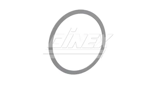 Support Ring for DAF (2AI005)