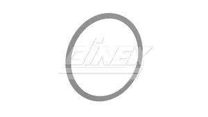 Support Ring for DAF (2AI005)