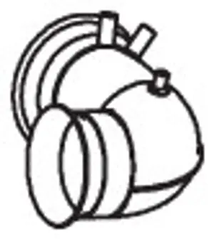 Pipe for DAF