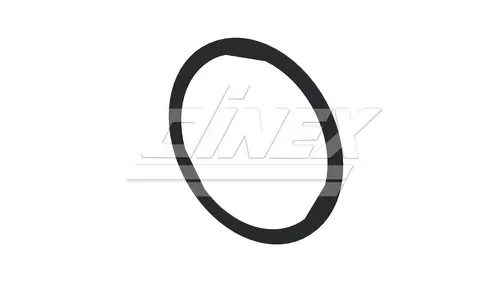 Exhaust Gasket for DAF