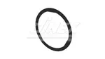 Exhaust Gasket for DAF