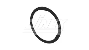 Exhaust Gasket for DAF