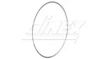 Exhaust Gasket for Iveco