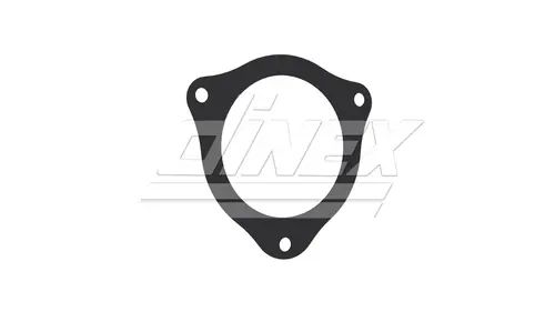 Exhaust Gasket for DAF
