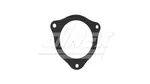 Exhaust Gasket for DAF
