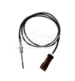 Temperature Sensor for International