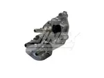 AdBlue® injector for DAF